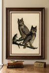 Great Horned Owl Fine Art Print