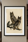 Great Horned Owl Framed Fine Art Print