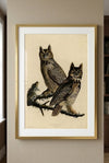 Great Horned Owl Framed Fine Art Print