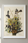 Mockingbird Framed Fine Art Print