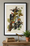 Pileated Woodpecker Framed Fine Art Print