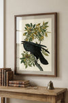 Raven Fine Art Print