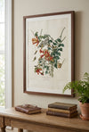 Ruby-Throated Hummingbird Fine Art Print