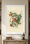 Ruby-Throated Hummingbird Framed Fine Art Print