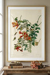 Ruby-Throated Hummingbird Framed Fine Art Print