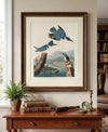 Belted Kingfisher Fine Art Print