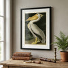 American White Pelican Classic Frame Art Print
