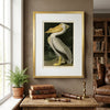 American White Pelican Classic Frame Art Print