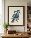 Blue Jay Fine Art Print