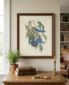 Florida Jay Fine Art Print