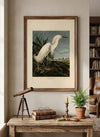 Snowy Heron Fine Art Print