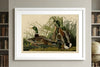 Mallard Duck Framed Fine Art Print