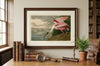 Roseate Spoonbill Fine Art Print