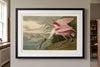 Roseate Spoonbill Framed Fine Art Print