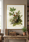 American Robin Framed Fine Art Print