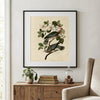 Band-Tailed Pigeon Fine Art Print