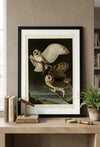 Barn Owl Framed Fine Art Print