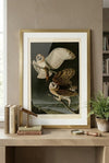 Barn Owl Framed Fine Art Print