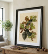 Canada Jay Fine Art Print