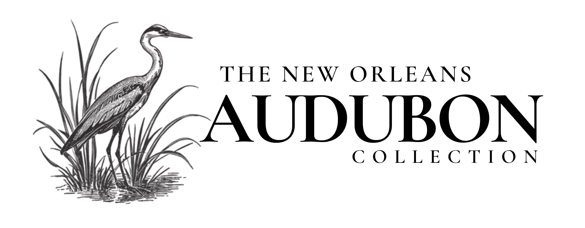 Audubon Collection